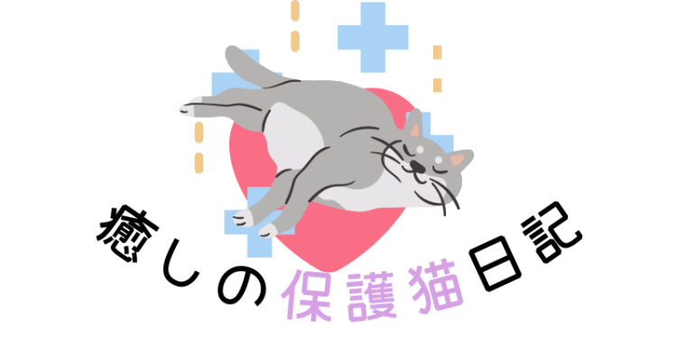 cook 今日なに作ろ？